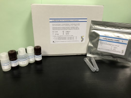 LumiProbe 24 Salmonella - Version tubes