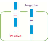 Tests de détection des pathogènes par hybridation moléculaire Marseille en région PACA