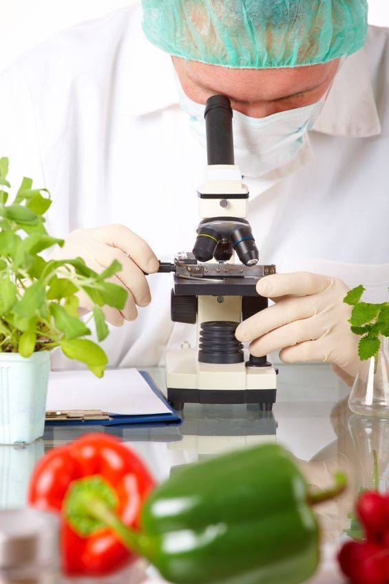 Laboratoire